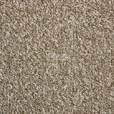 Ковролин AW Loop Loop 2395 фото 1 | FLOORDEALER